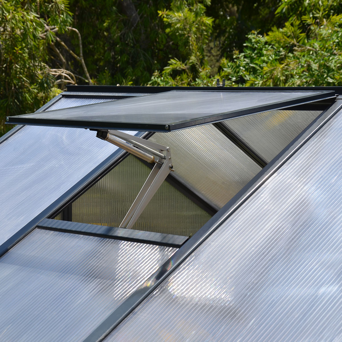 Växthus Canopia by Palram Glory Aluminiumram med UV-Skyddad Polykarbonat & Automatisk Ventilationsöppnare, 6,2 m²