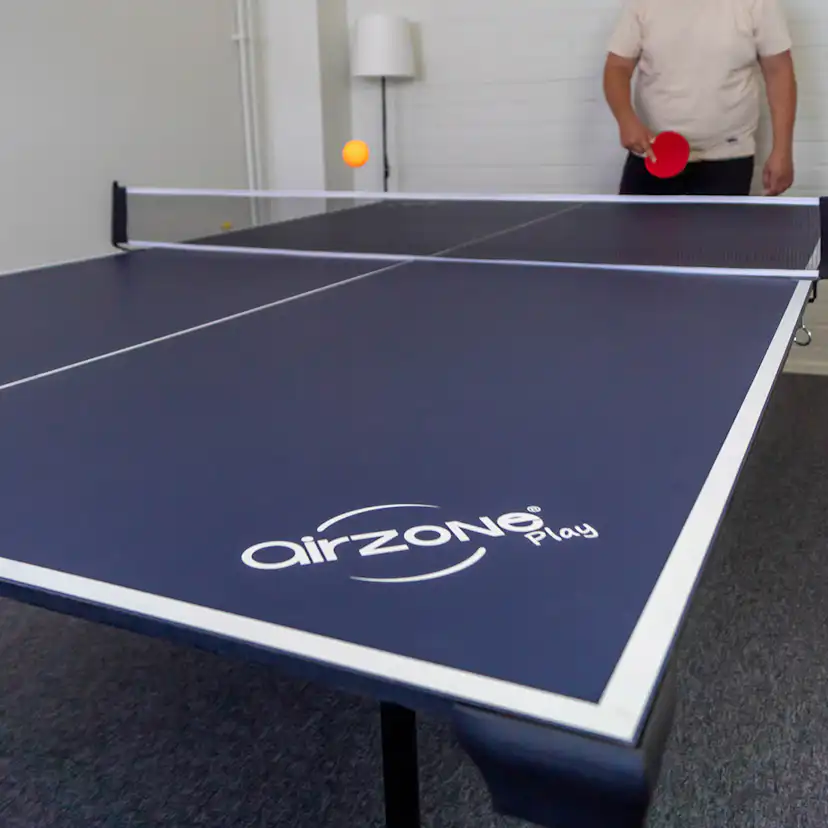 Pingisbord ProSport Officiell Storlek Hopfällbar