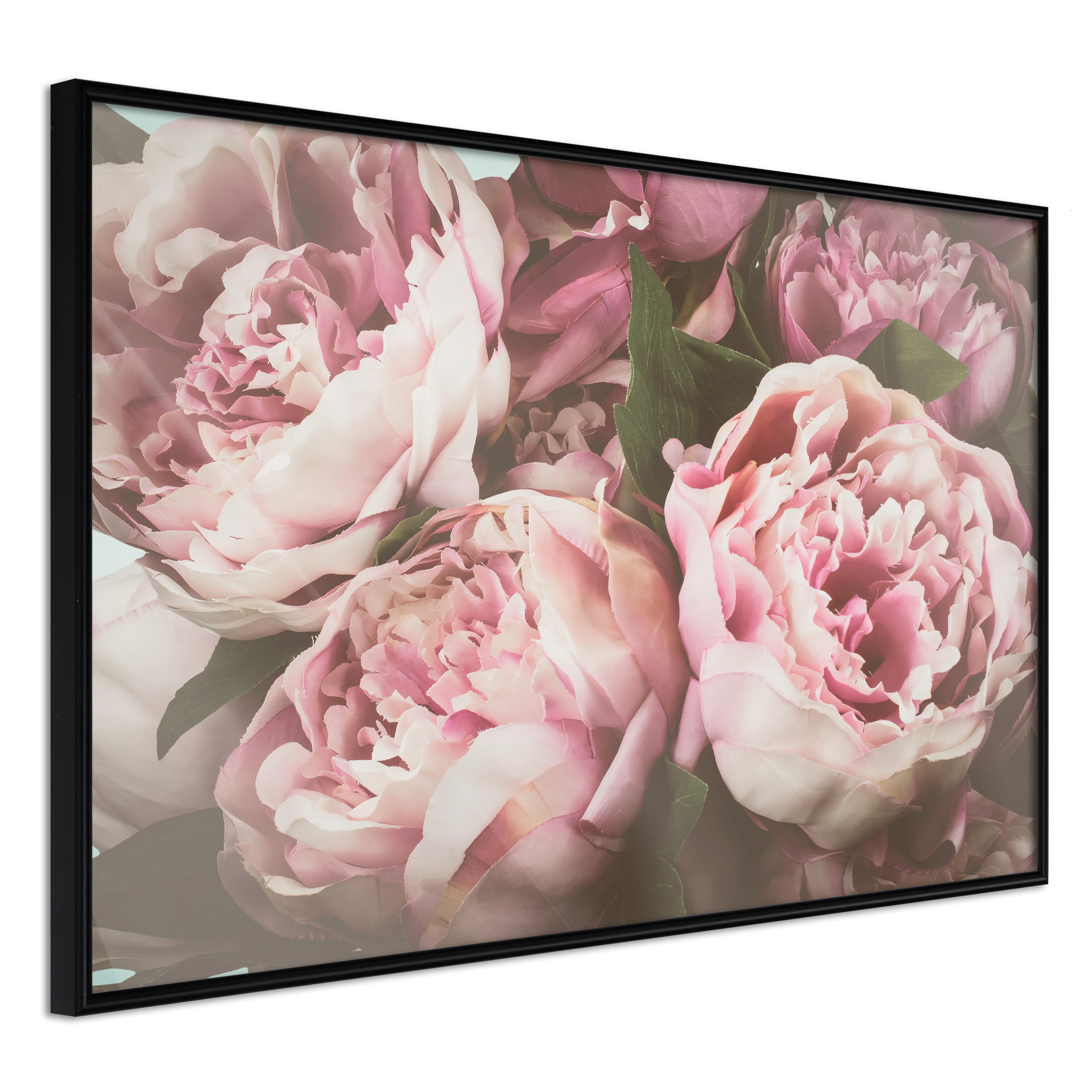 Affisch - Pink Peonies [Poster] 30x20 Svart ram, 30x20 cm