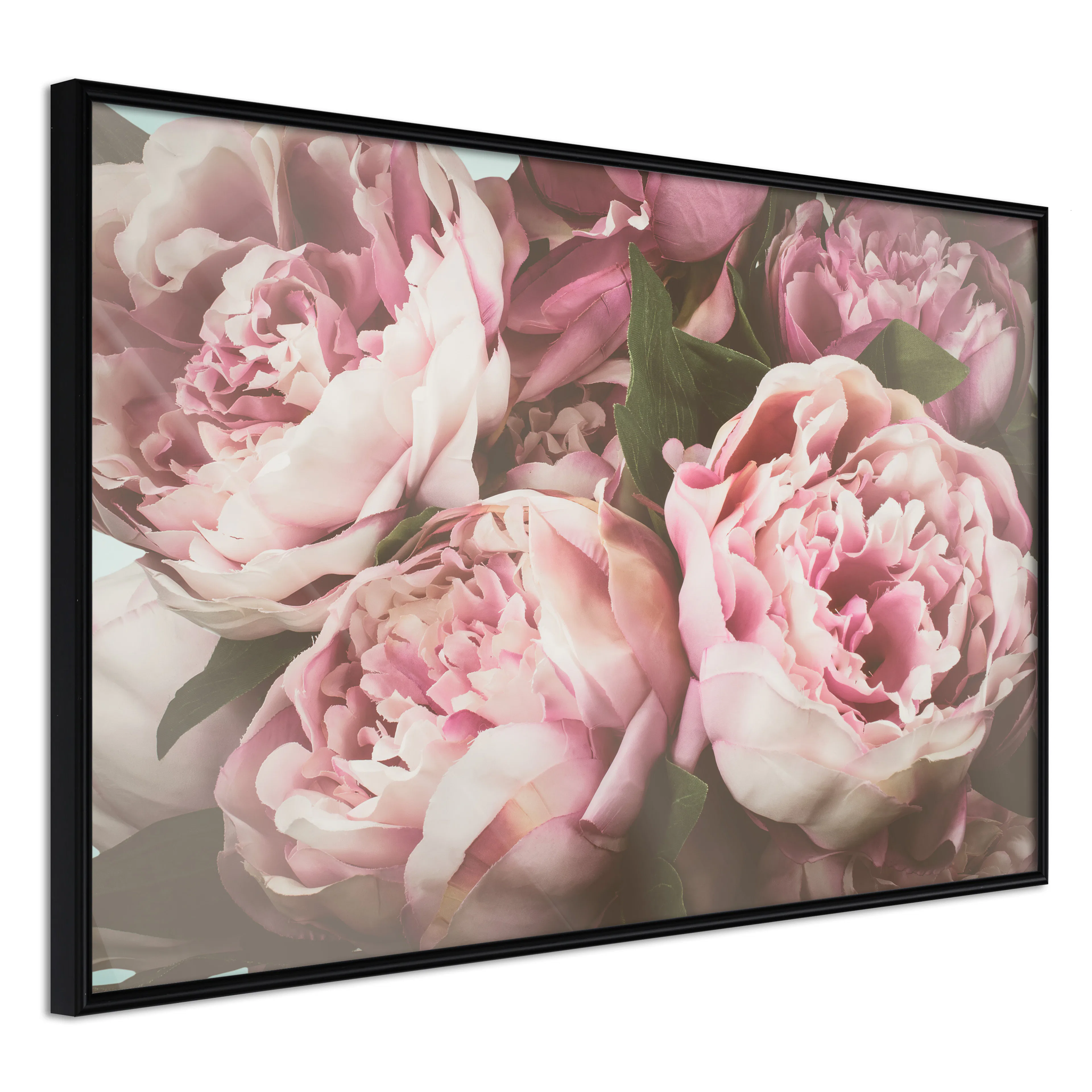 Affisch - Pink Peonies [Poster] 30x20 Svart ram, 30x20 cm