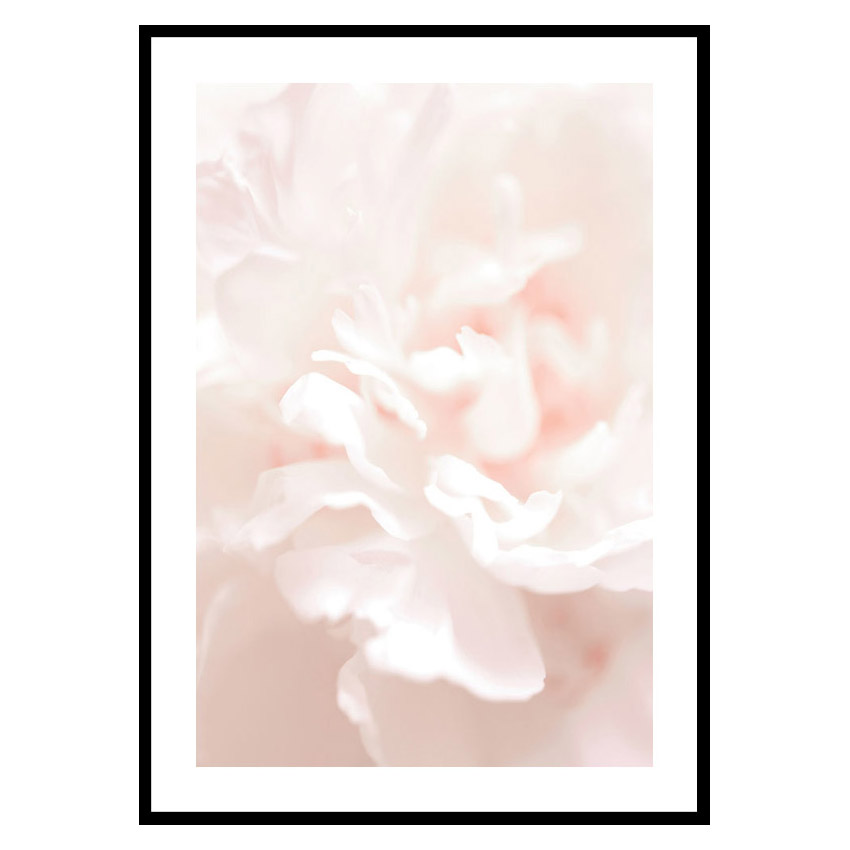 Poster Gallerix Tender Flowers No1