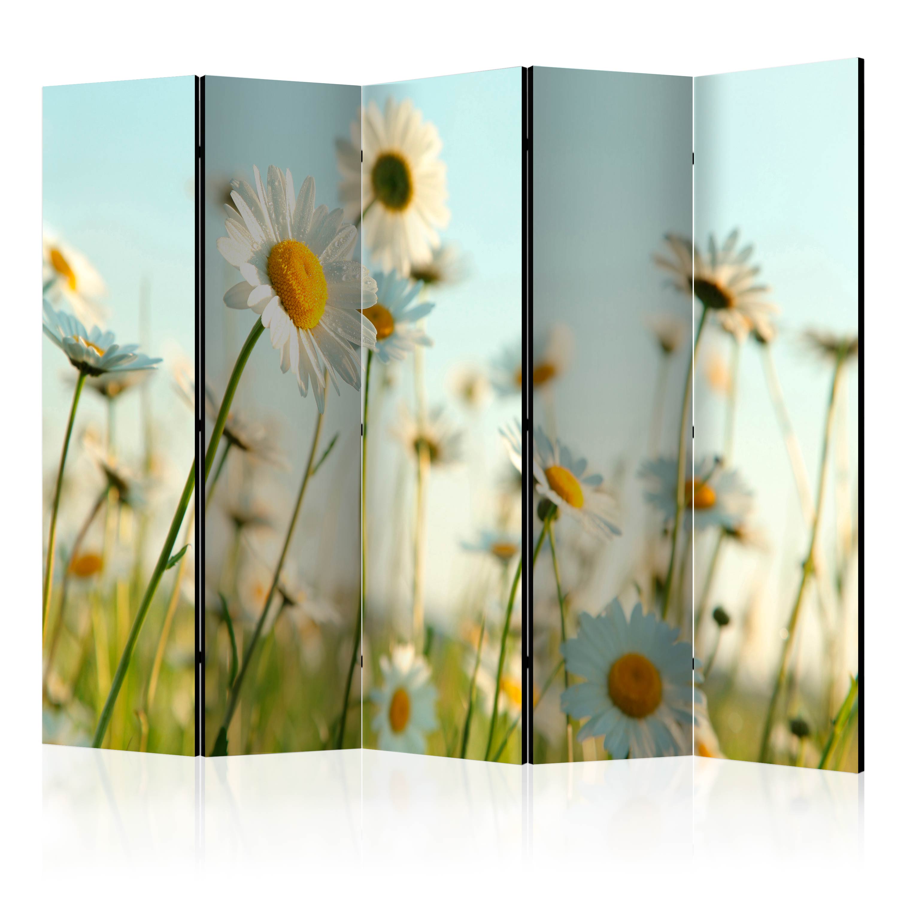 Rumsavdelare Skärmvägg Arkiio Daisies Spring Meadow II Prästkragar 225x172 cm