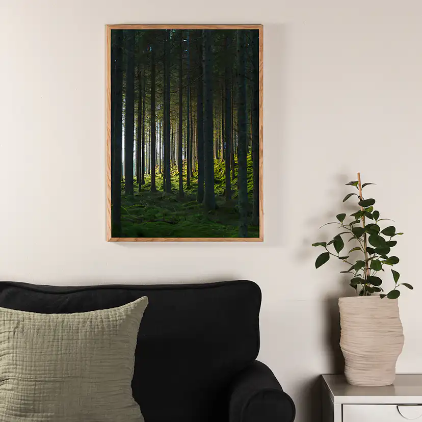 Posters Venture Home Woods Svart/grön
