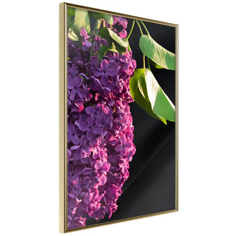 Poster Artgeist Affisch Colours of Spring