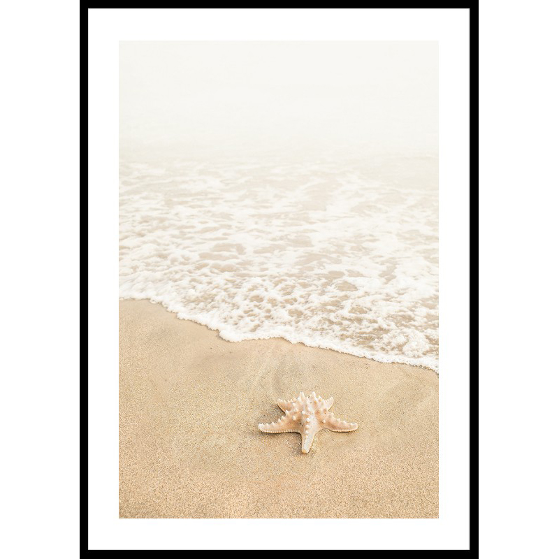 Poster Gallerix Shoreline Starfish