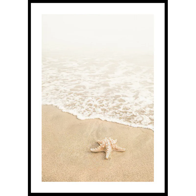 Poster Gallerix Shoreline Starfish