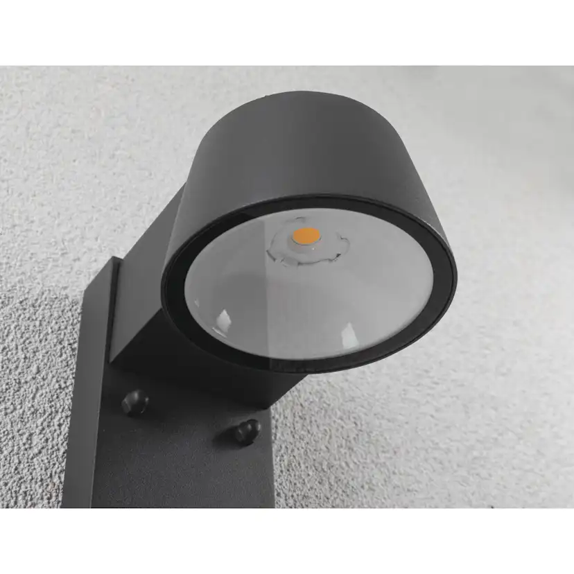 Fasadbelysning LED Paulmann Capea IP44 230V Design: med Skymningsstyrd Rörelsedetektor, Ljus: Gold Light (insektsvänlig)