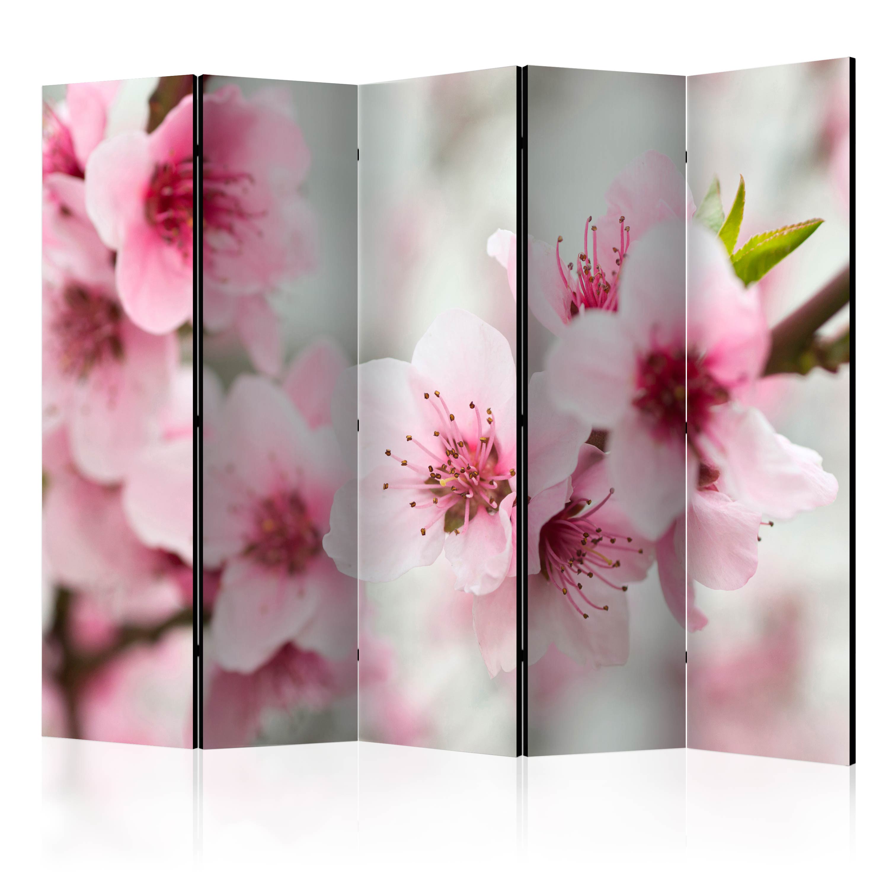 Rumsavdelare Skärmvägg Arkiio Spring Blooming Tree Pink Flowers II 225x172 cm