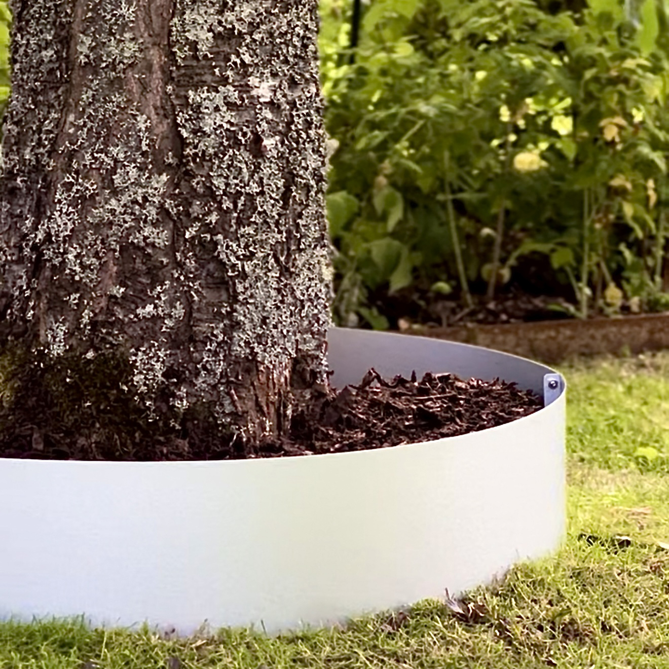 Trädring Skotte Garden Zinkplåt 16cm Hög ⌀65 cm