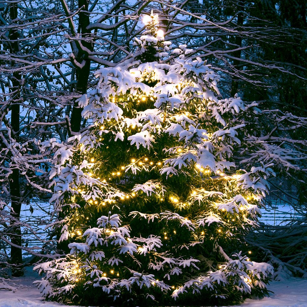 Ljusslinga LightsOn Twinky Pro 10m, Svart, 10m