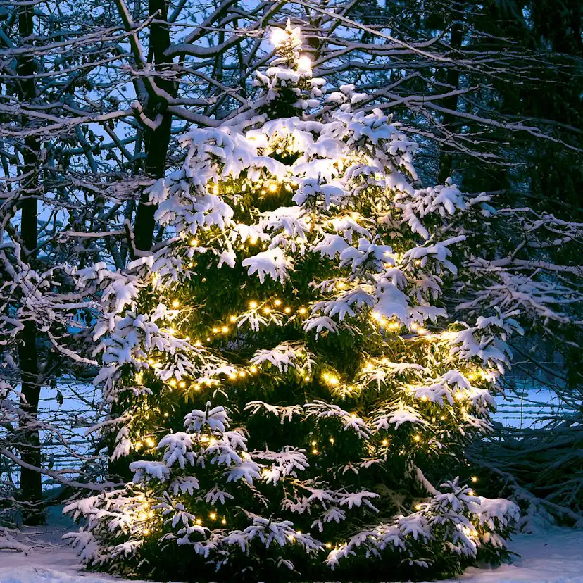 Ljusslinga LightsOn Twinky Pro 10m, Svart, 10m