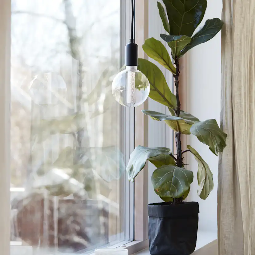 Fönsterlampa PR Home Column