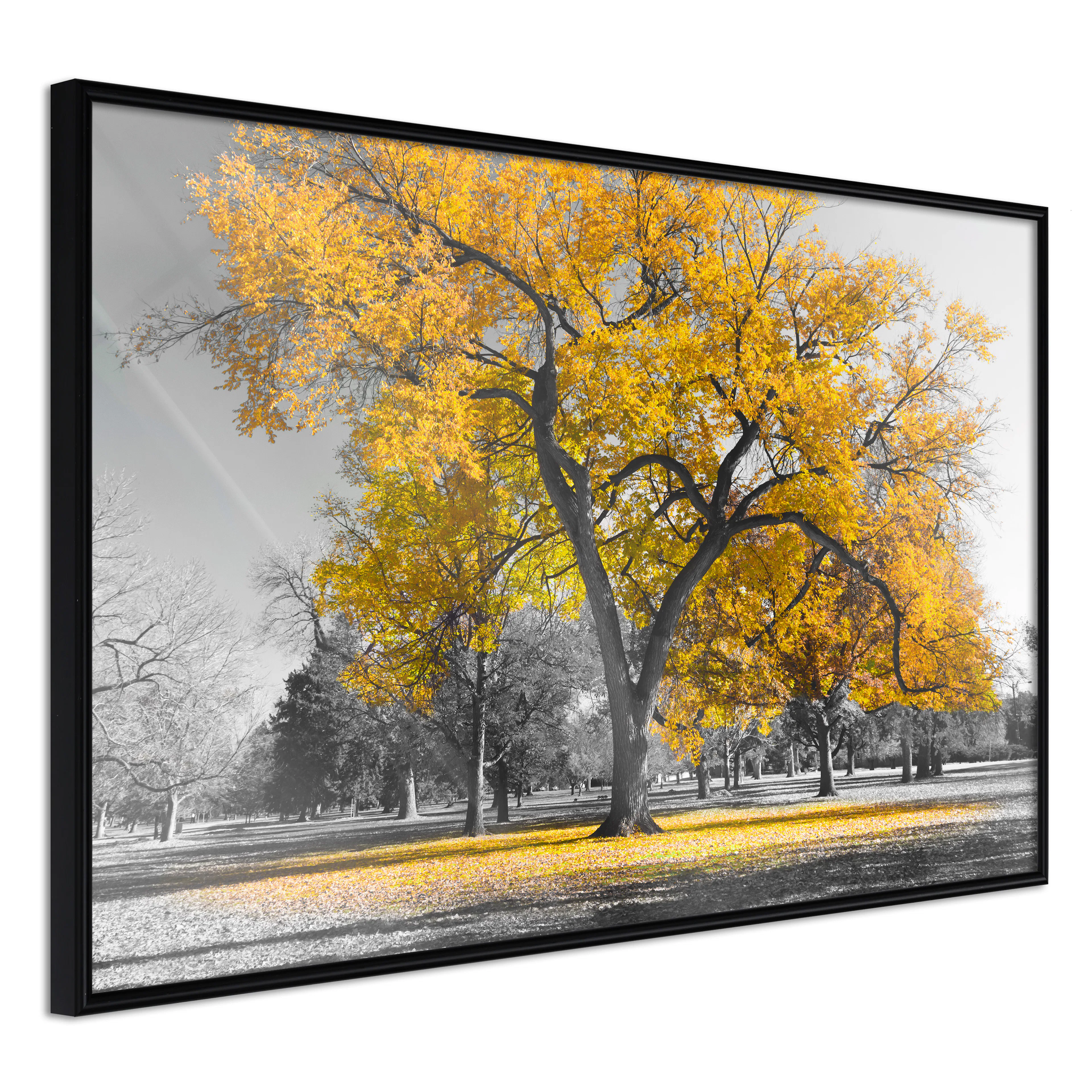 Affisch - Autumn in the Park (Gold) [Poster] 30x20 Svart ram, 30x20 cm