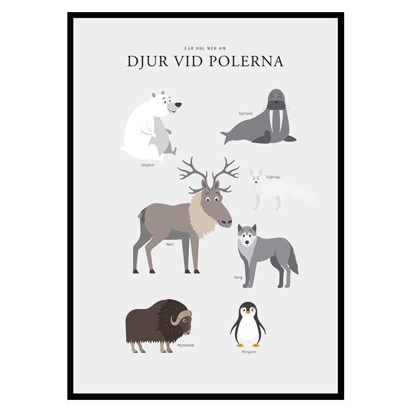 Poster Gallerix Djur Vid Polerna