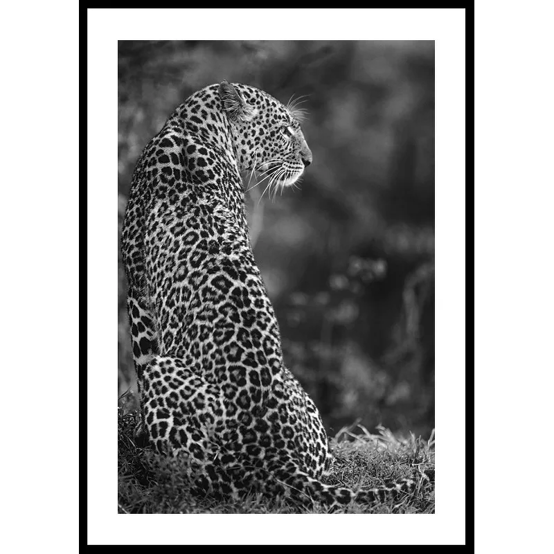 Poster Gallerix Jaguar B&W