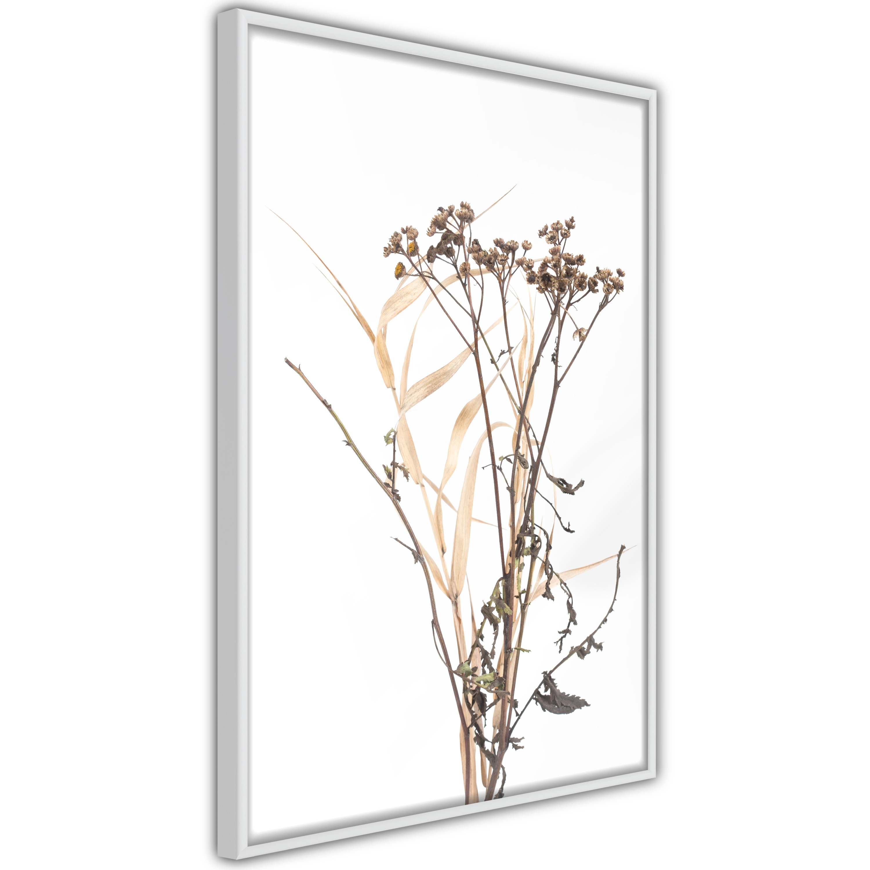 Poster Artgeist Affisch Camomile