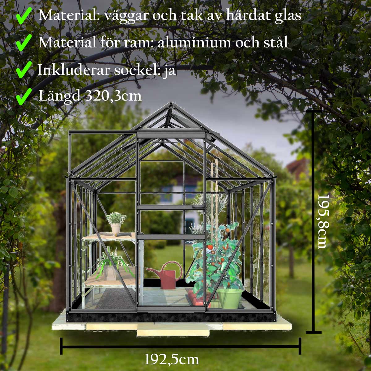 Lykke Växthus Glas 6,2m2, svart BxH: 320,3x192,5 cm