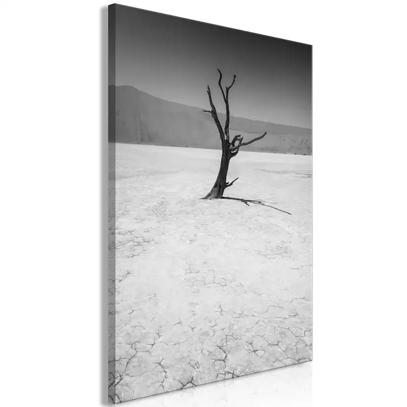 Tavla Arkiio Tree in the Desert