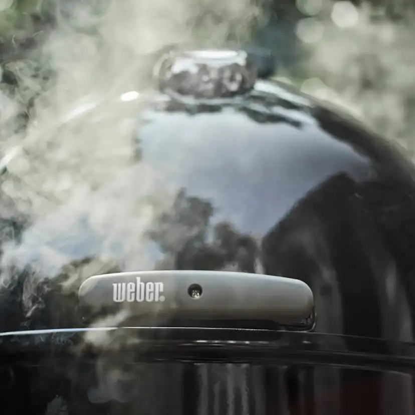Rök-/Ånggrill Weber Smokey Mountain Cooker 47 cm