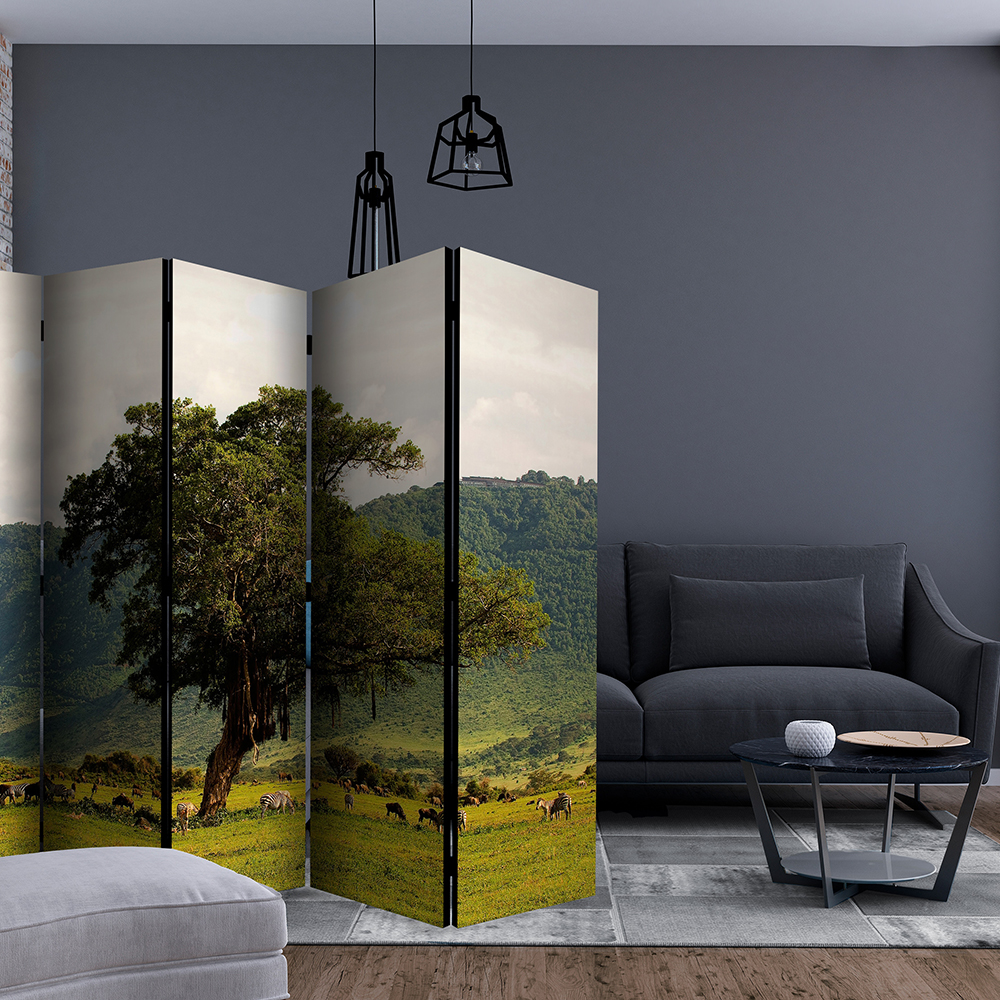 Rumsavdelare Skärmvägg Arkiio In A Crater Of Ngoro Ngoro II 225x172 cm