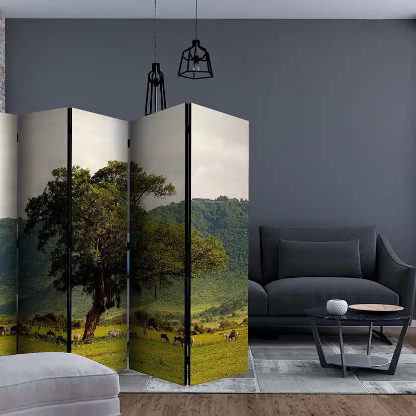 Rumsavdelare Skärmvägg Arkiio In A Crater Of Ngoro Ngoro II 225x172 cm