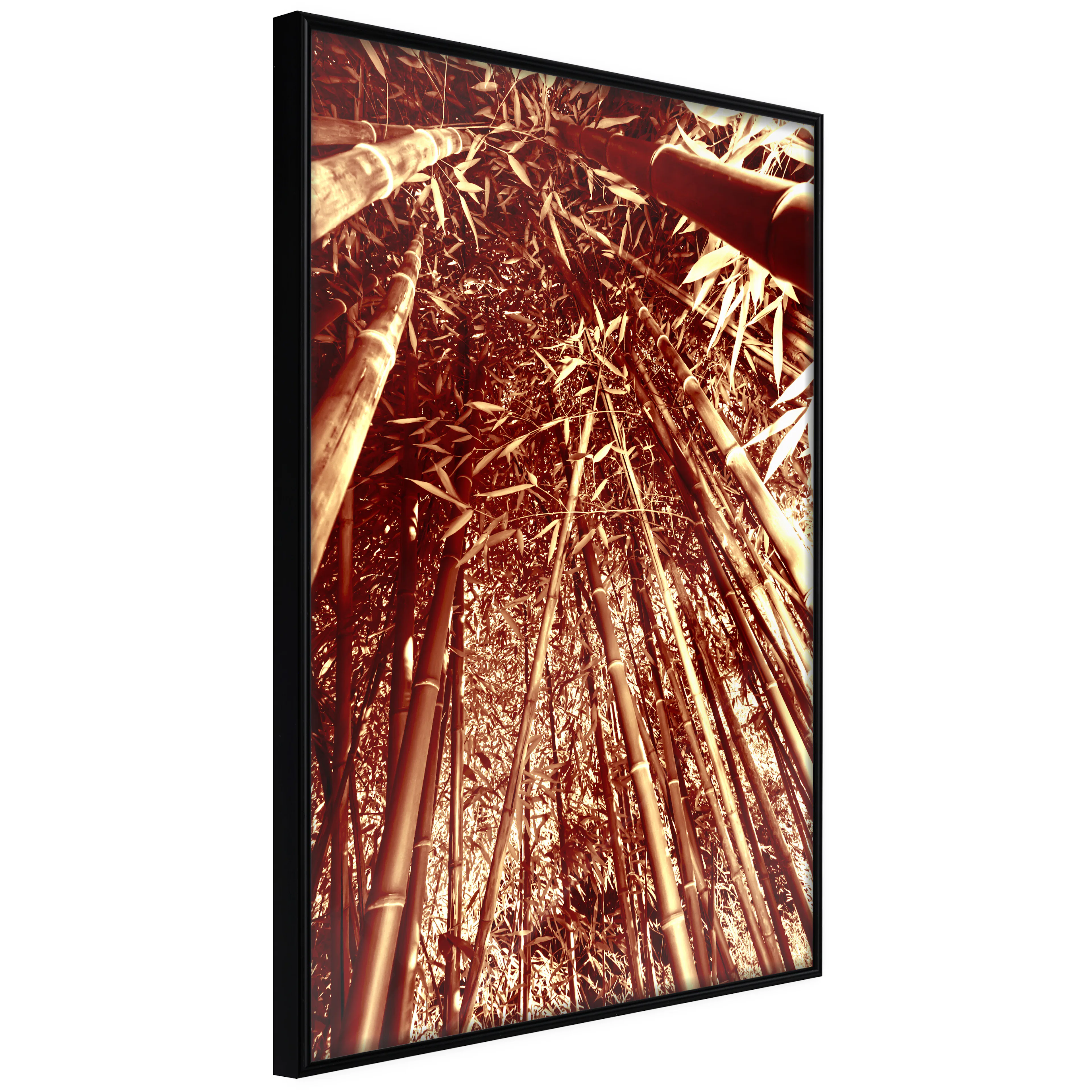 Affisch - Tall Bamboos [Poster] 30x45 Svart ram, 30x45 cm