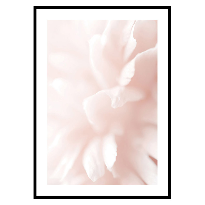 Poster Gallerix Tender Flowers No3