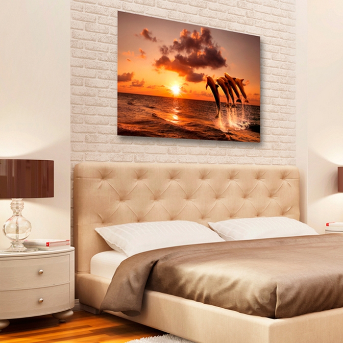 Tavla Arkiio The Dolphin's Dance