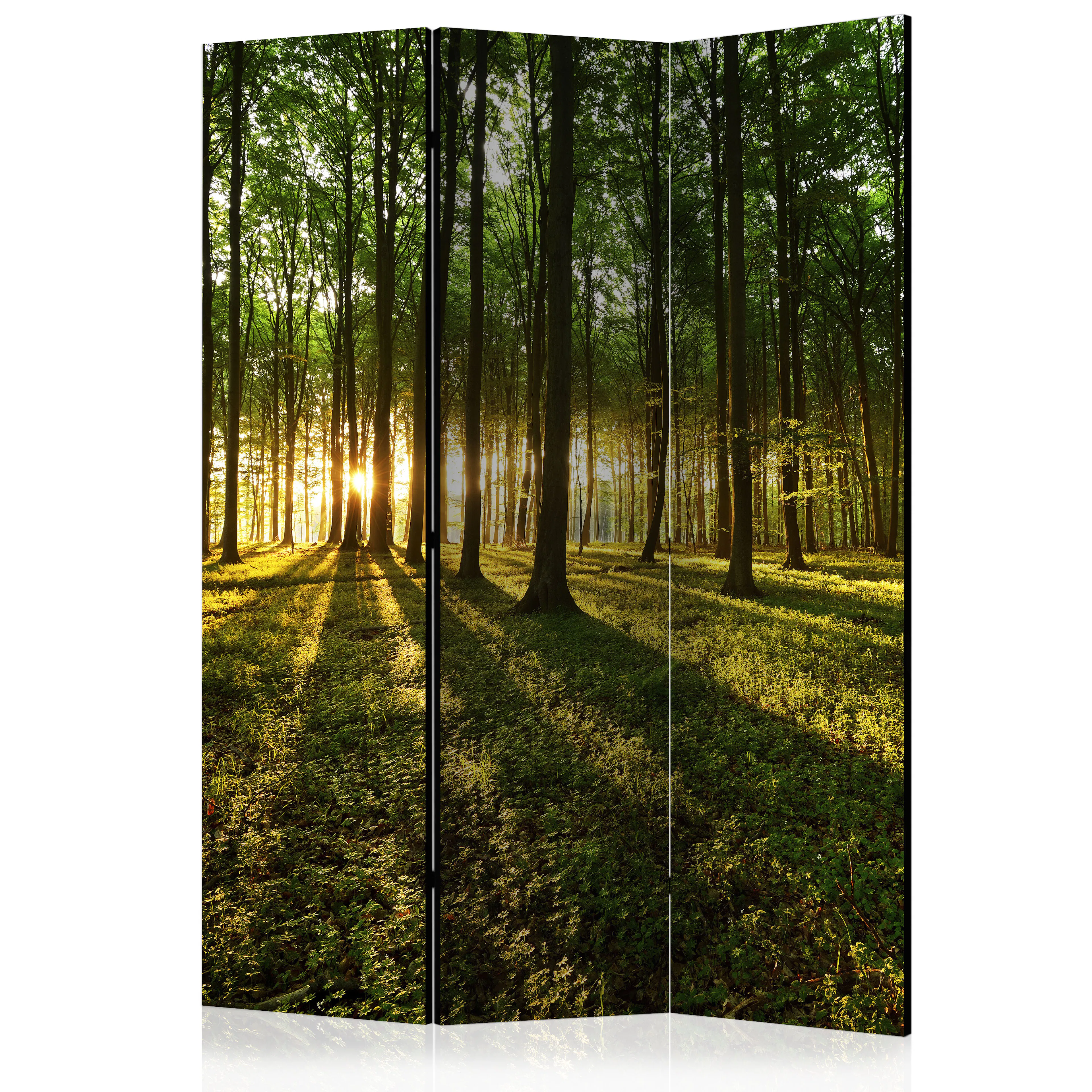 Rumsavdelare Skärmvägg Arkiio Morning In The Forest 135x172 cm