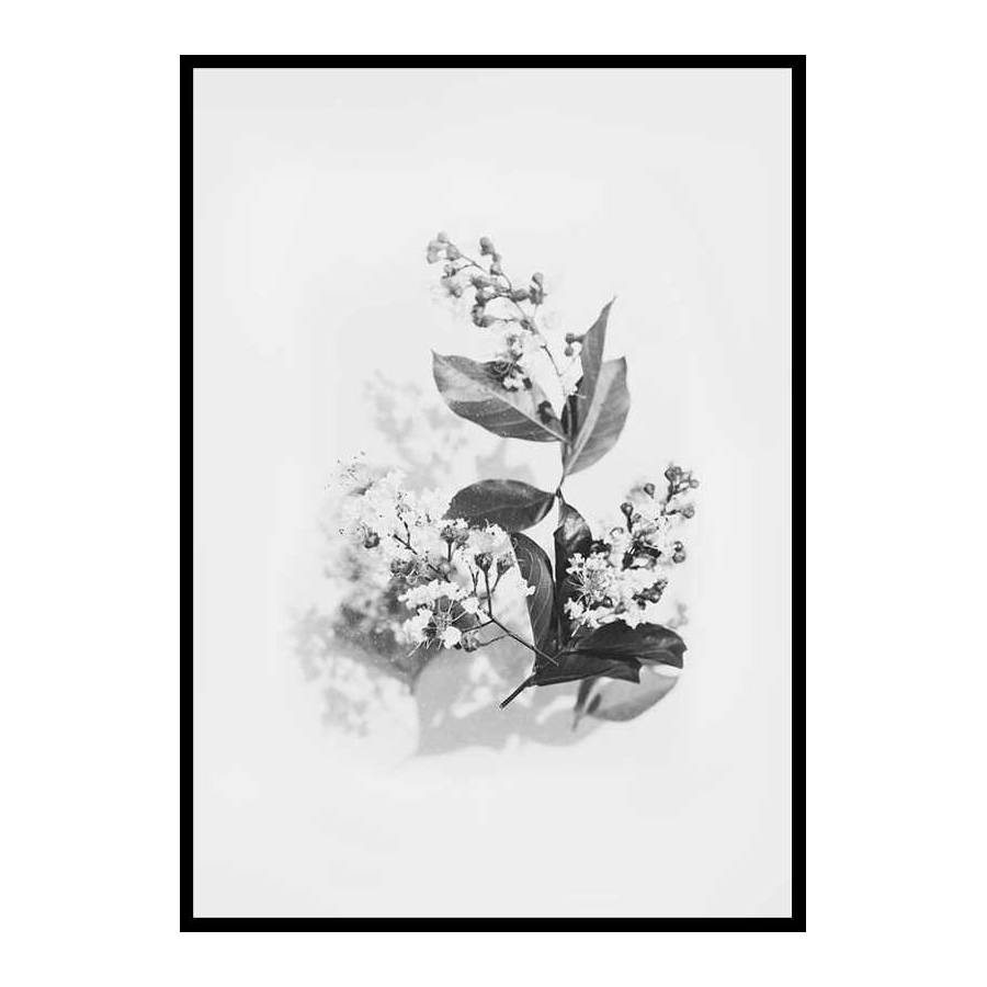 Poster Gallerix Floral arrangement No2
