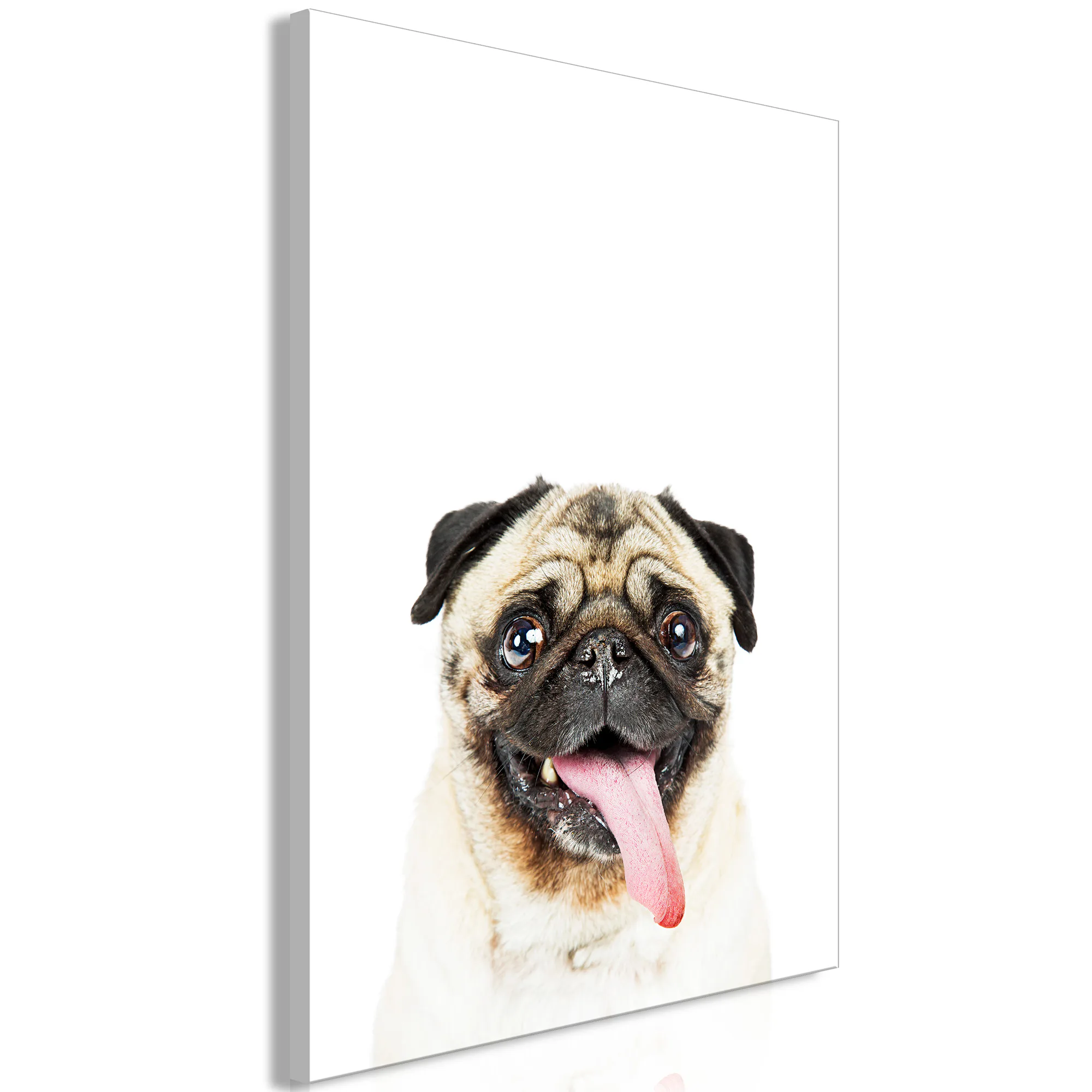 Tavla Arkiio Pug