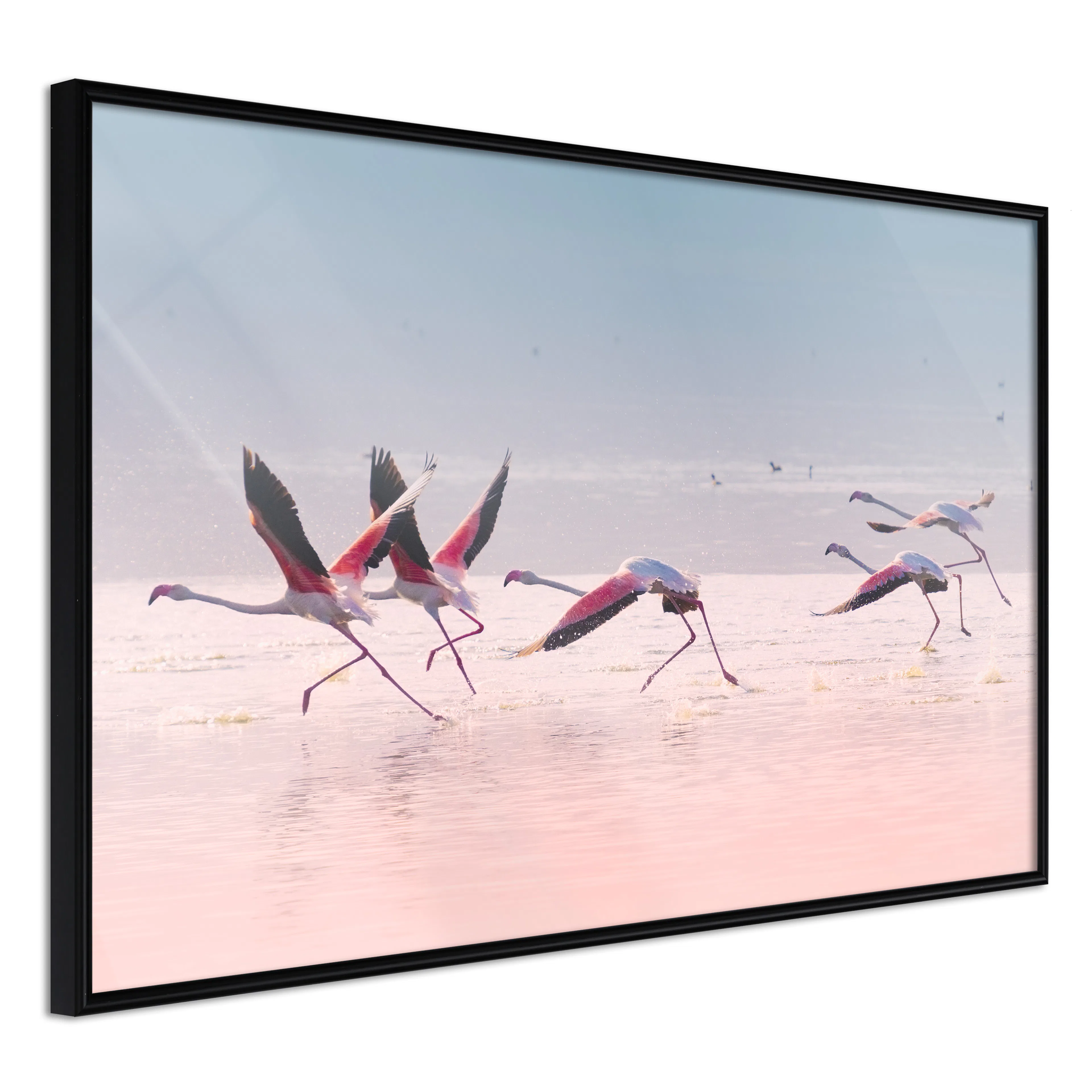 Affisch - Flamingos Race [Poster] 30x20 Svart ram, 30x20 cm