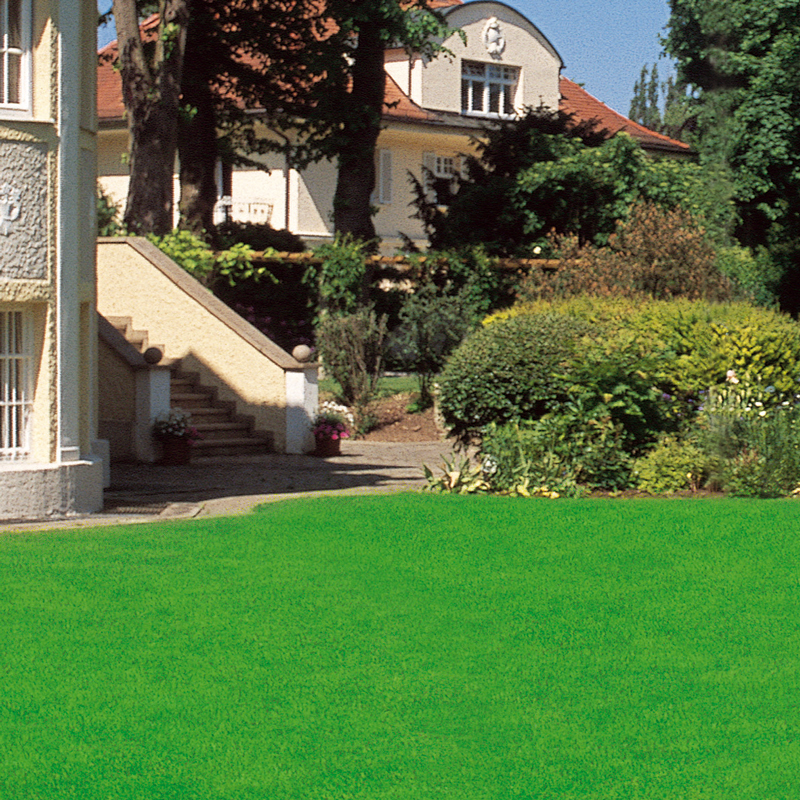 Gräsfrö WOLF-Garten Herrgård L-HG 125