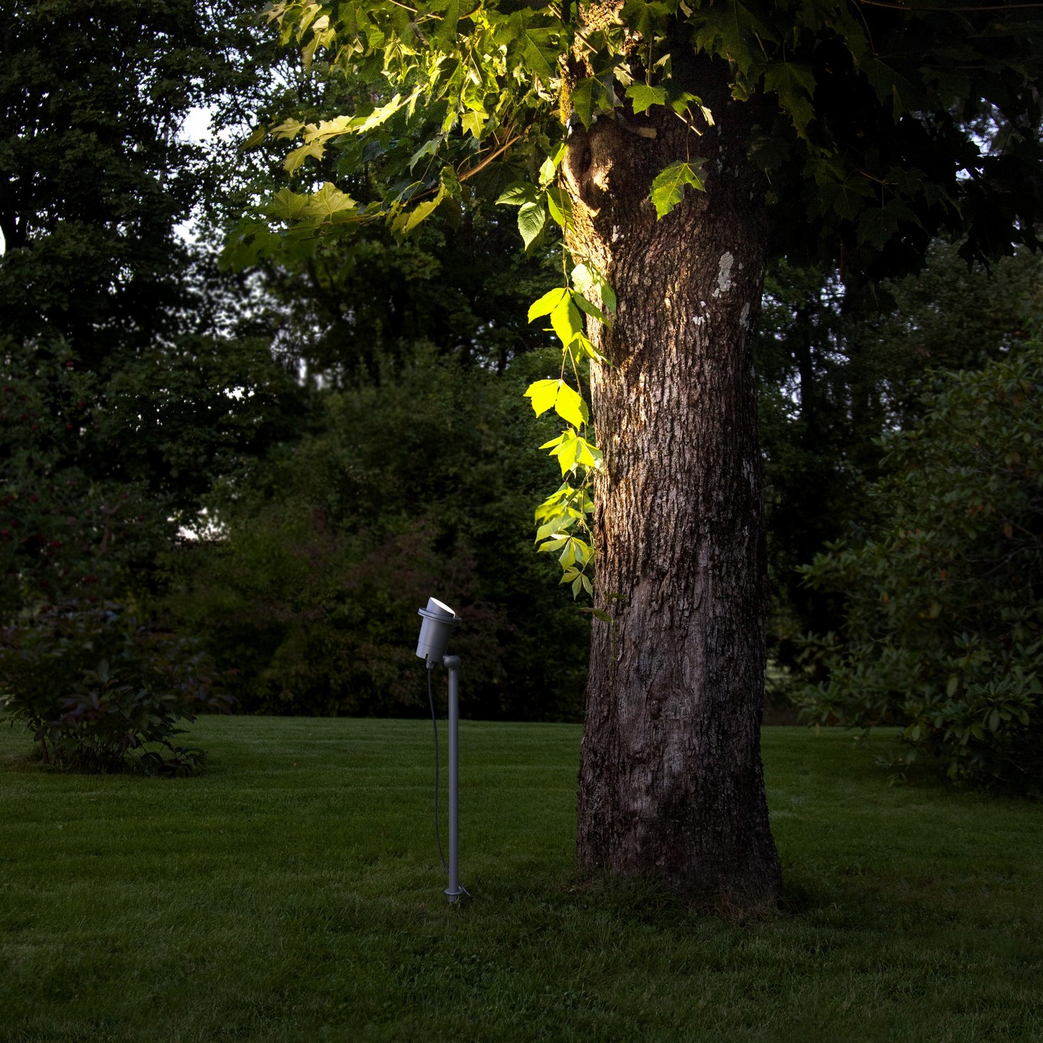 Utomhusdekoration Star Trading Spotlight Focus