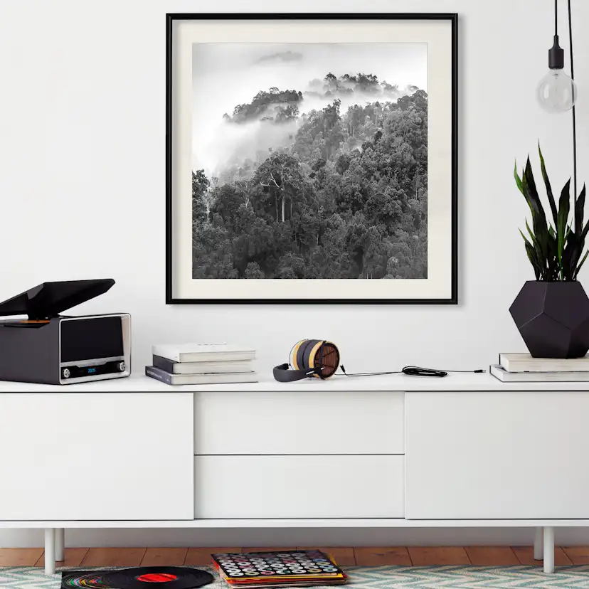 Poster Artgeist Affisch Rainforest