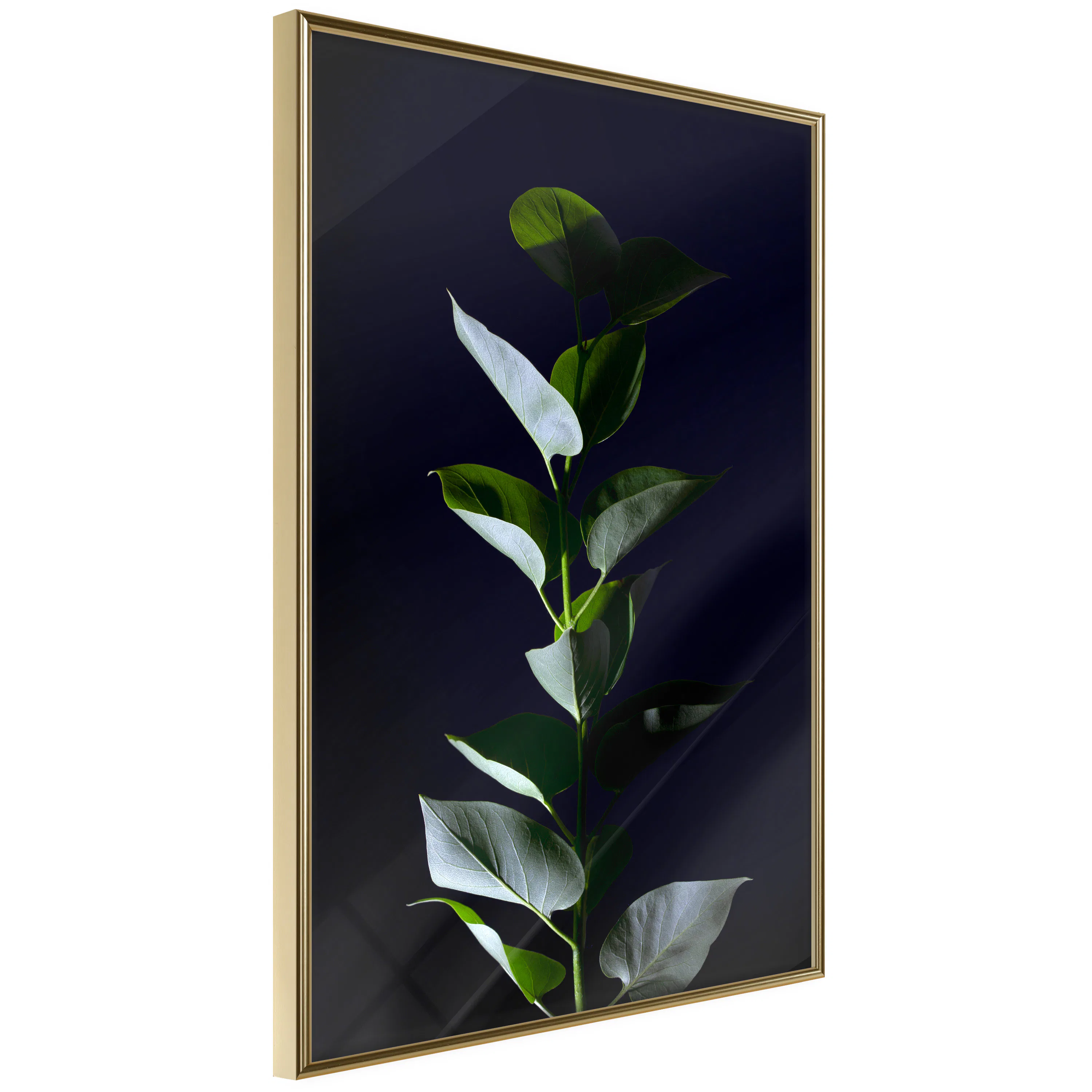Poster Artgeist Affisch In the Moonlight