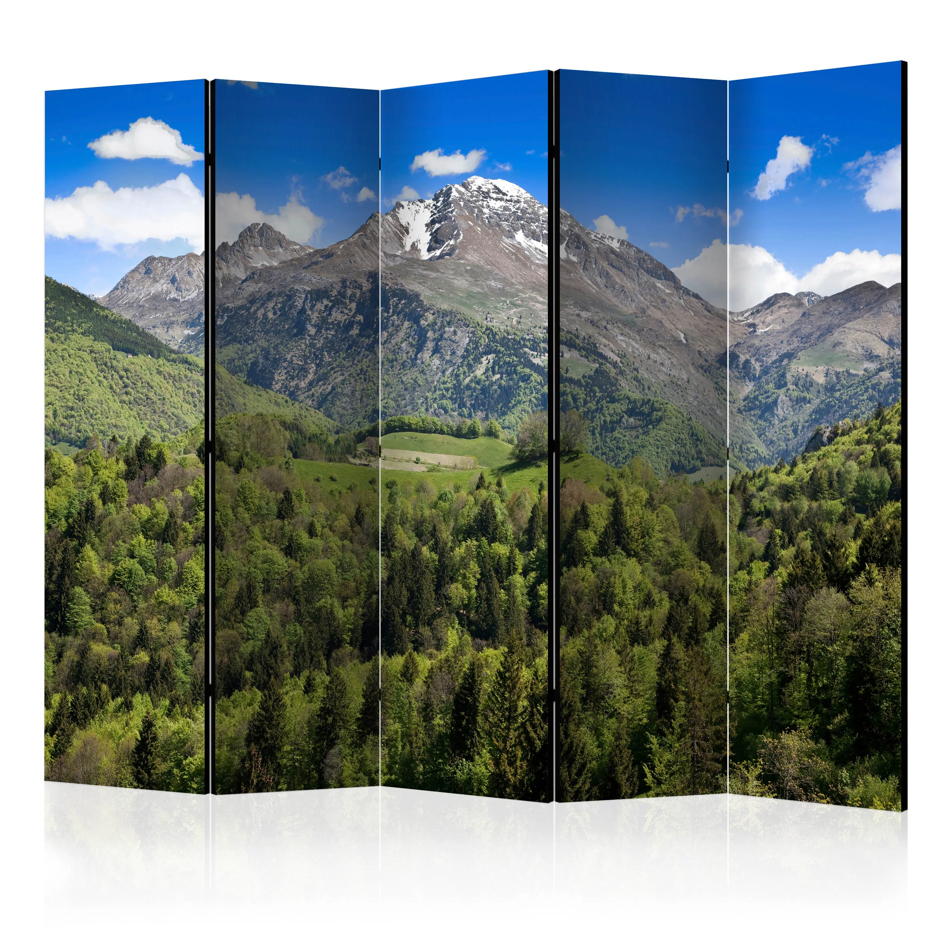 Rumsavdelare Skärmvägg Arkiio Holiday In The Mountains II 225x172 cm