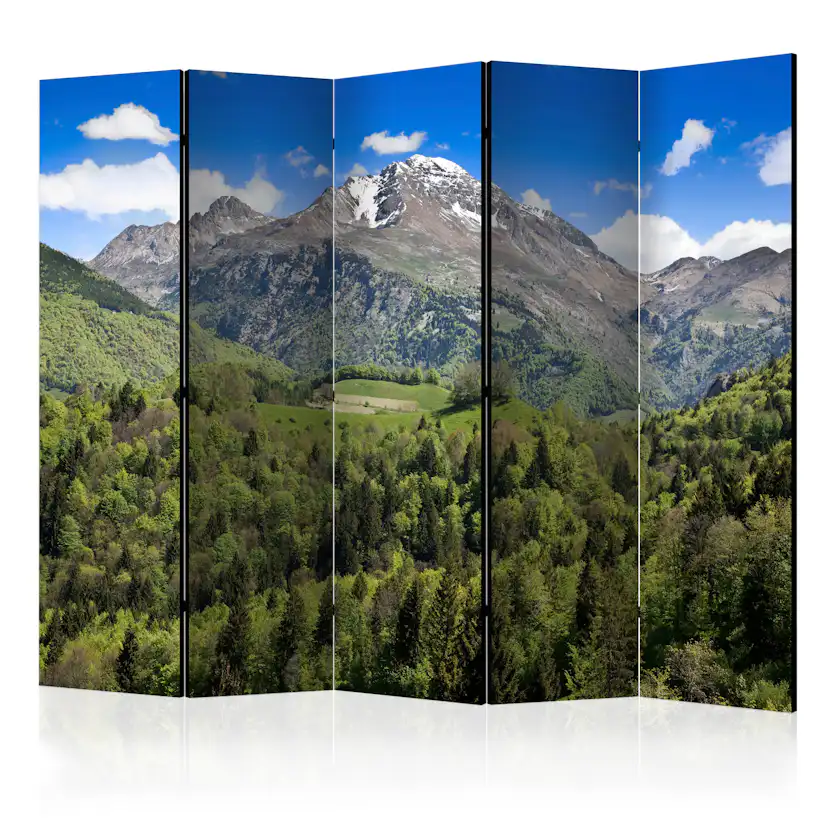 Rumsavdelare Skärmvägg Arkiio Holiday In The Mountains II 225x172 cm