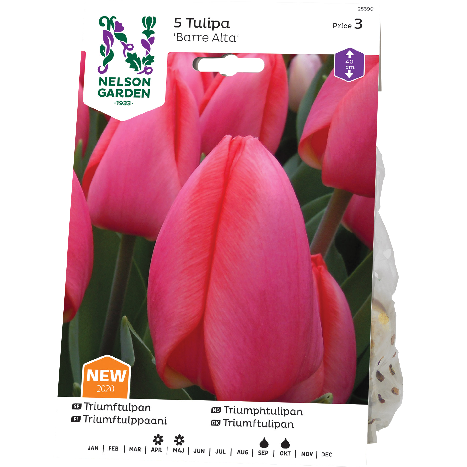 Tulpan Nelson Garden Triumf Barre Alta