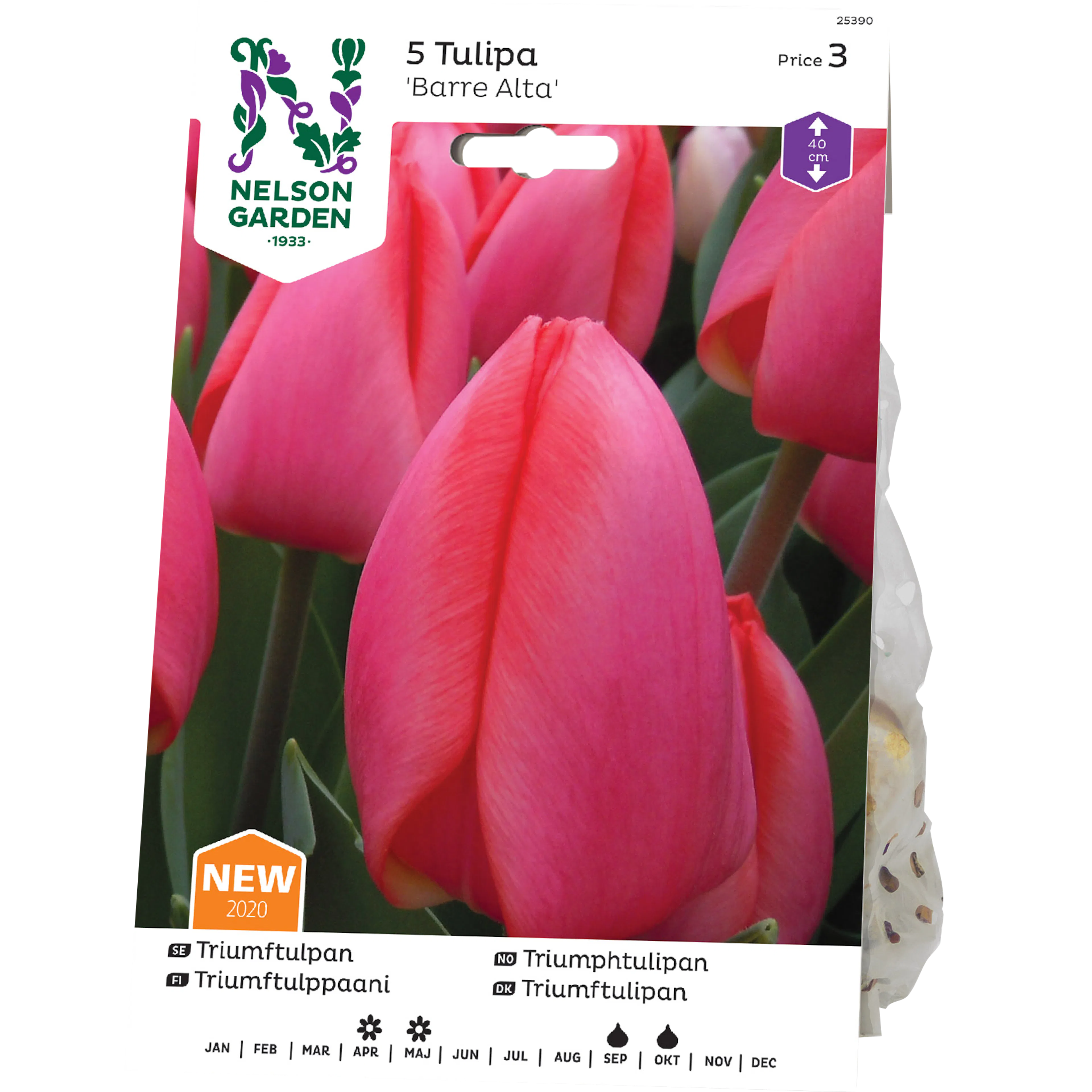 Tulpan Nelson Garden Triumf Barre Alta