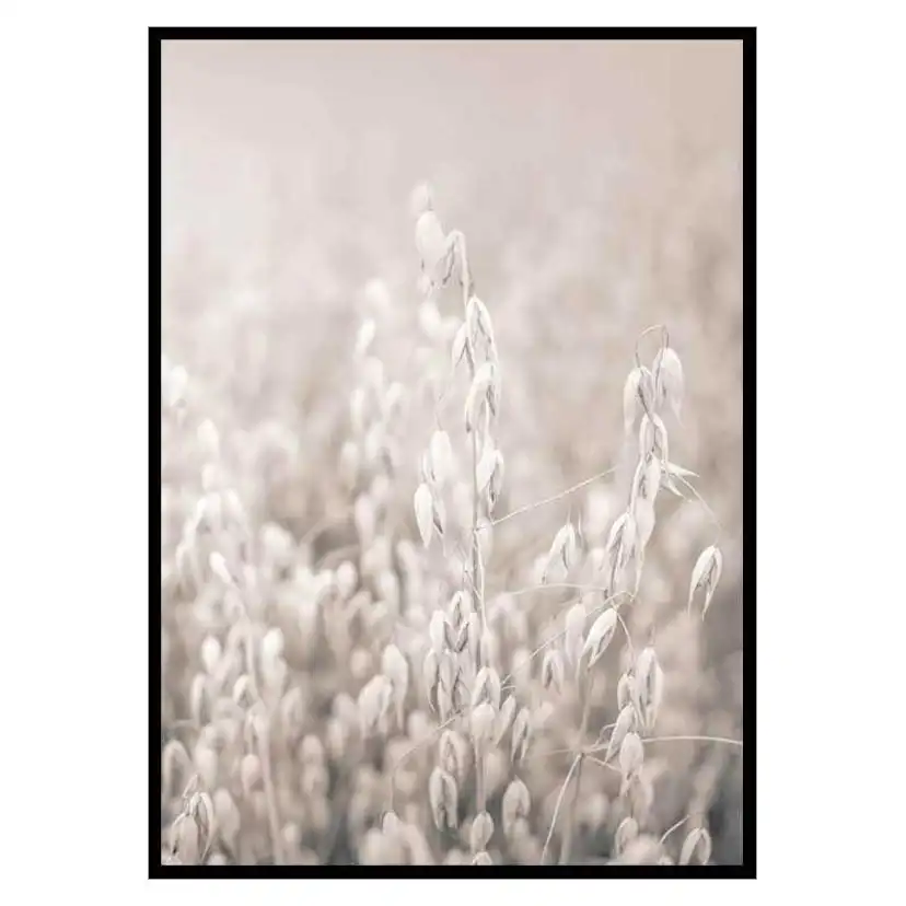 Poster Gallerix Oats No2