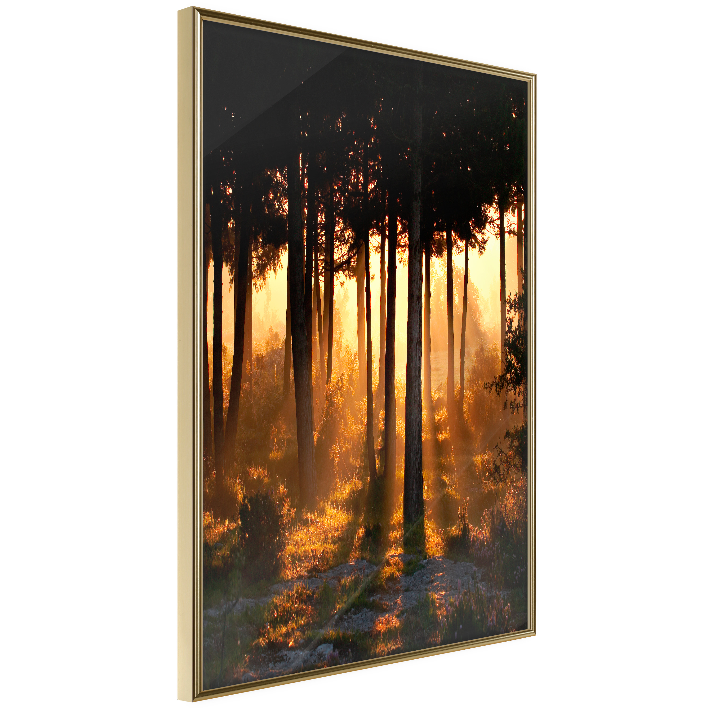 Poster Artgeist Affisch Honey Forest