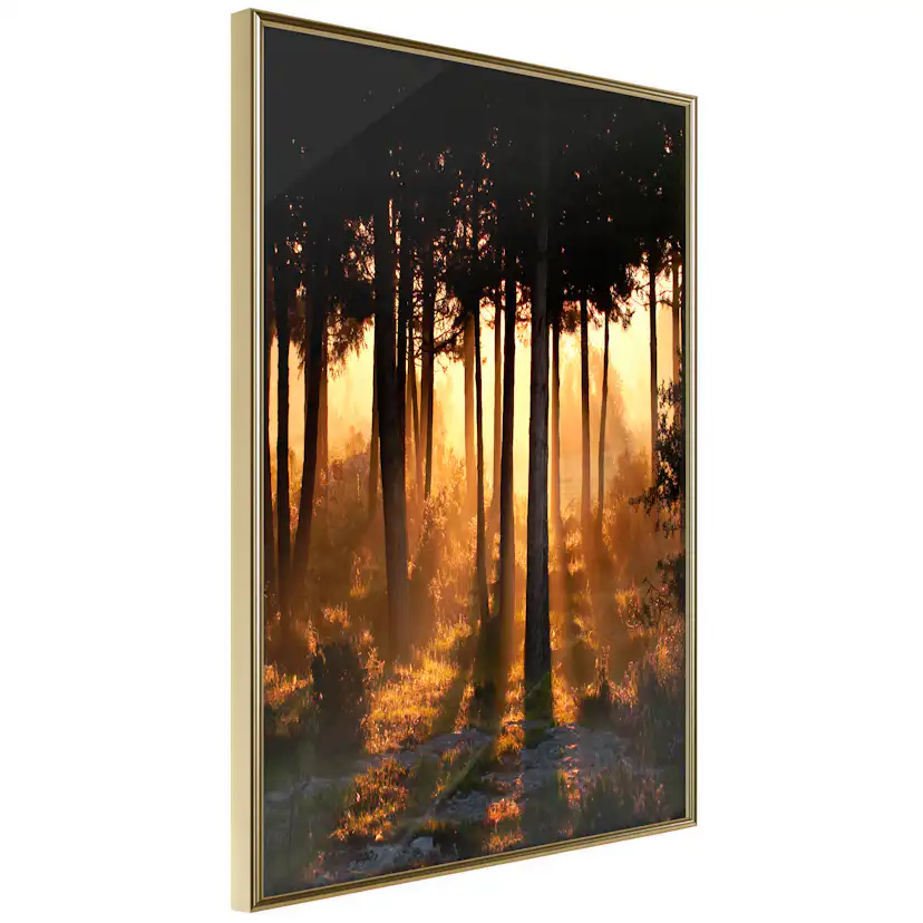 Poster Artgeist Affisch Honey Forest