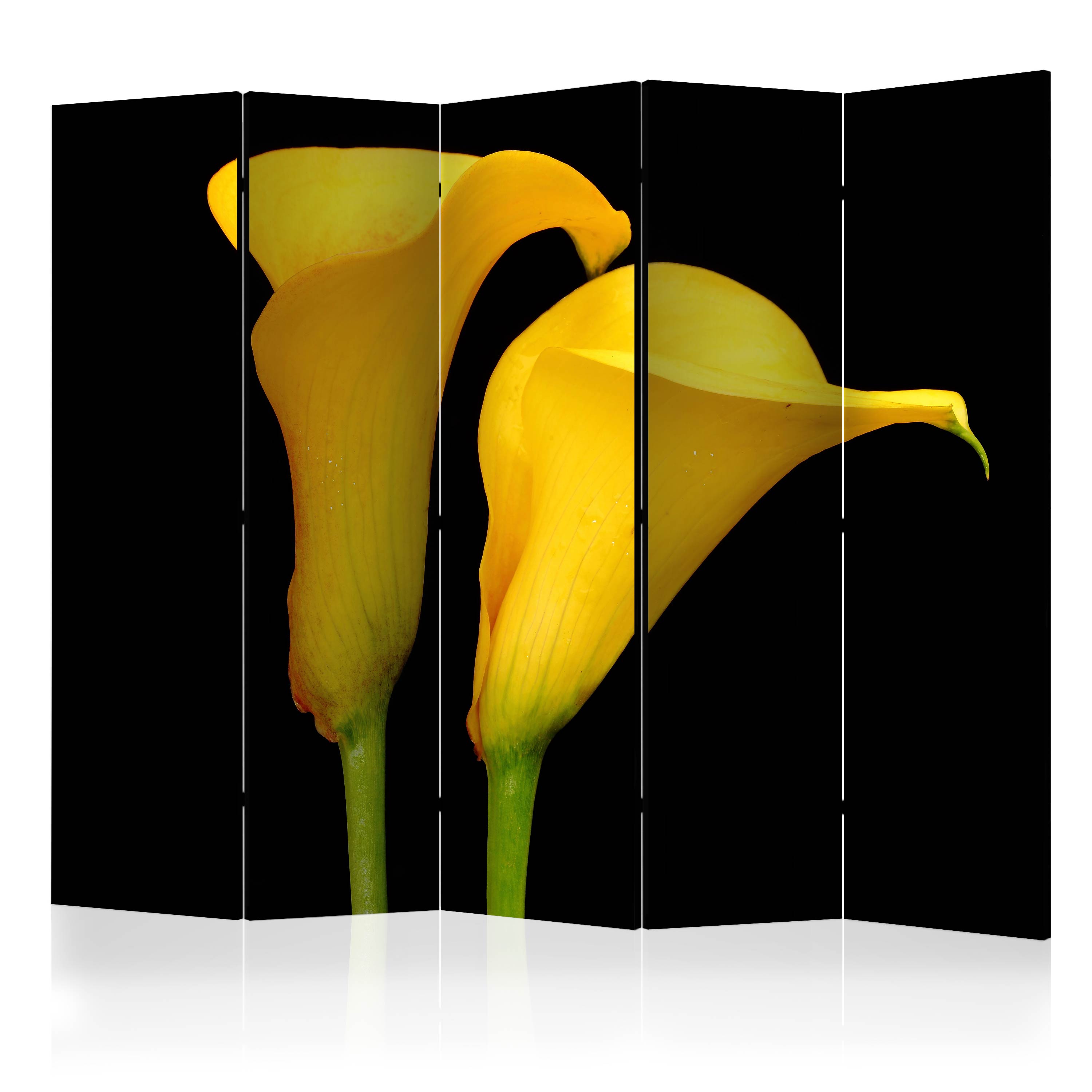 Rumsavdelare Skärmvägg Arkiio Two Yellow Calla Flowers On A Black Background II 225x172 cm
