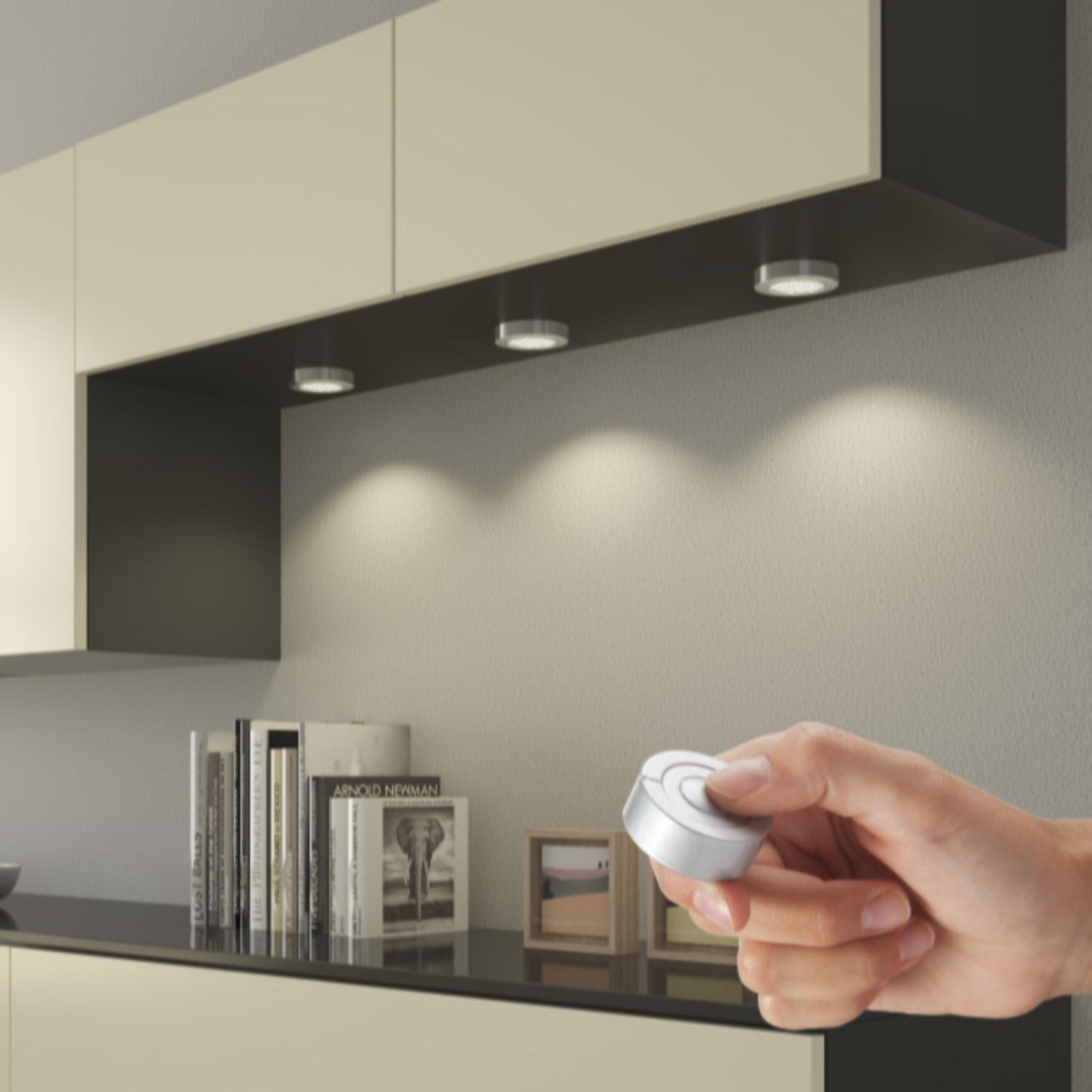Dimmer Call-Me V17 12/24V 36/72W rf-look Rostfri