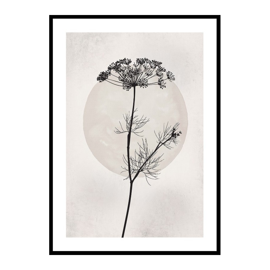 Poster Gallerix Dried Flower Silhouette