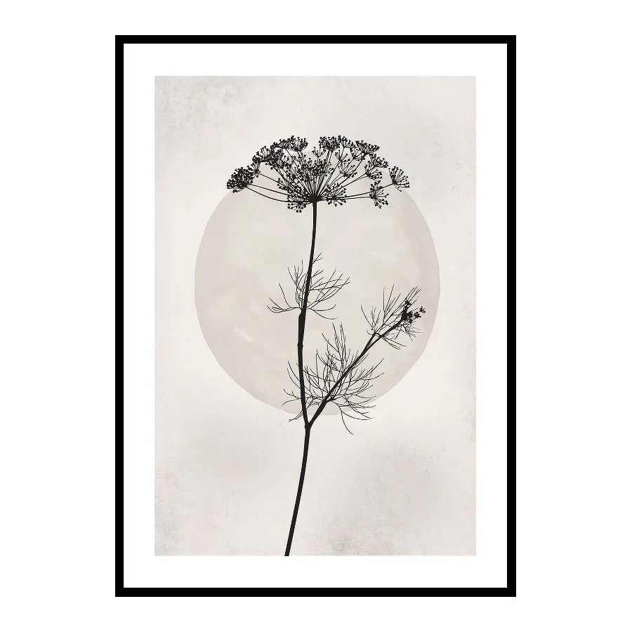 Poster Gallerix Dried Flower Silhouette