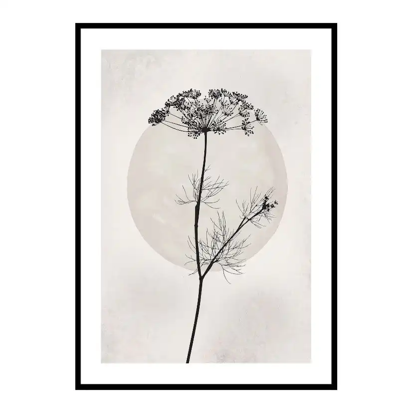 Poster Gallerix Dried Flower Silhouette