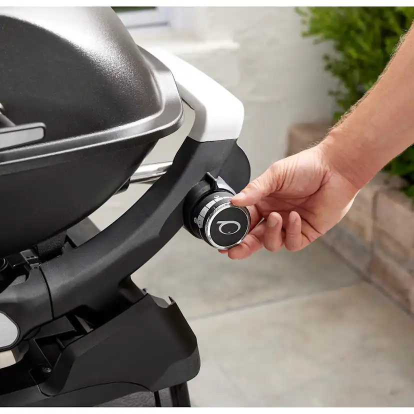 Gasolgrill Weber Q2200N Med Ställning