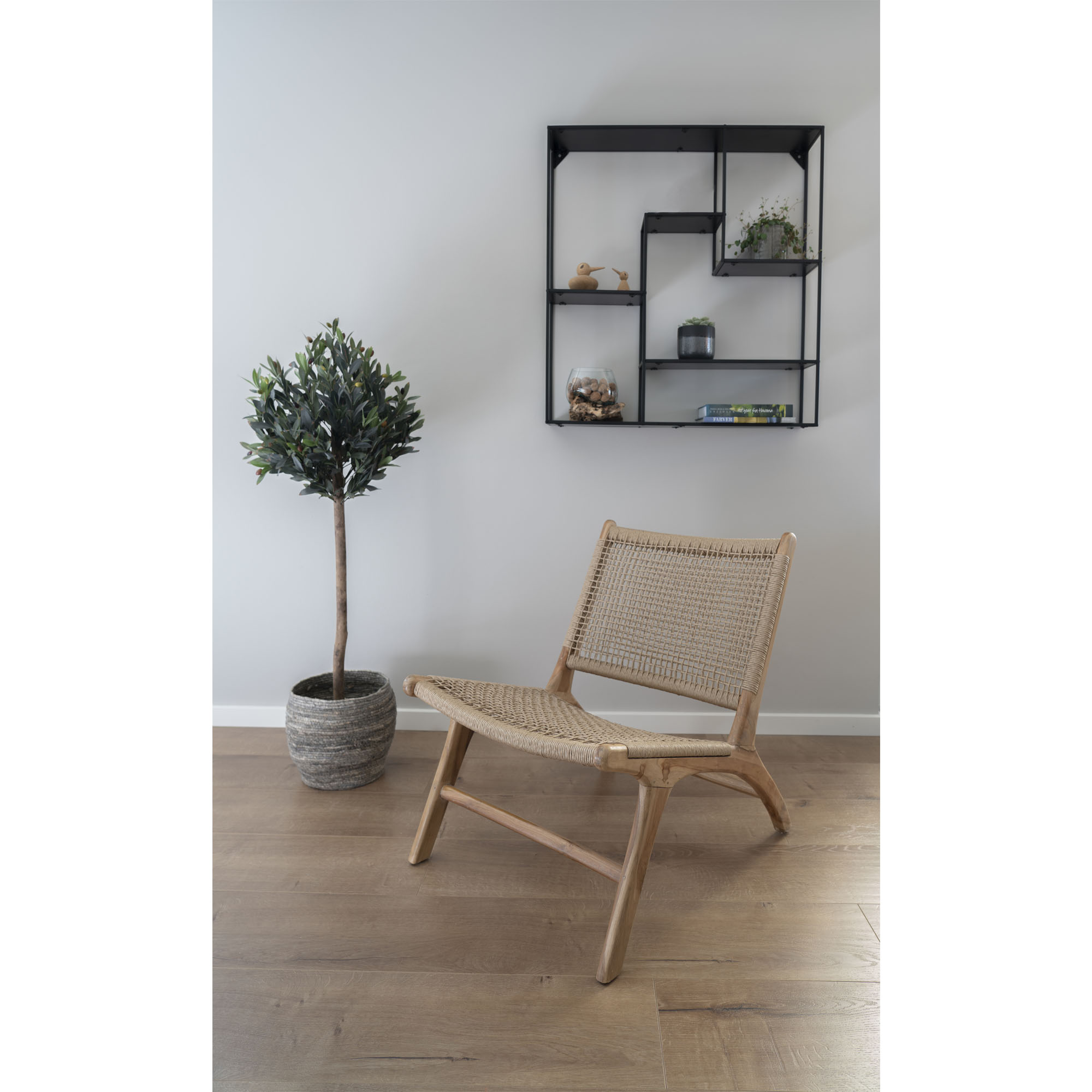 Konstväxt House Nordic Olive